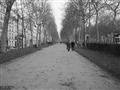 photo No. 1
