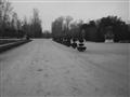 photo No. 12