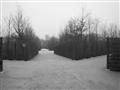 photo No. 13