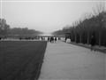 photo No. 14