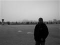 photo No. 8